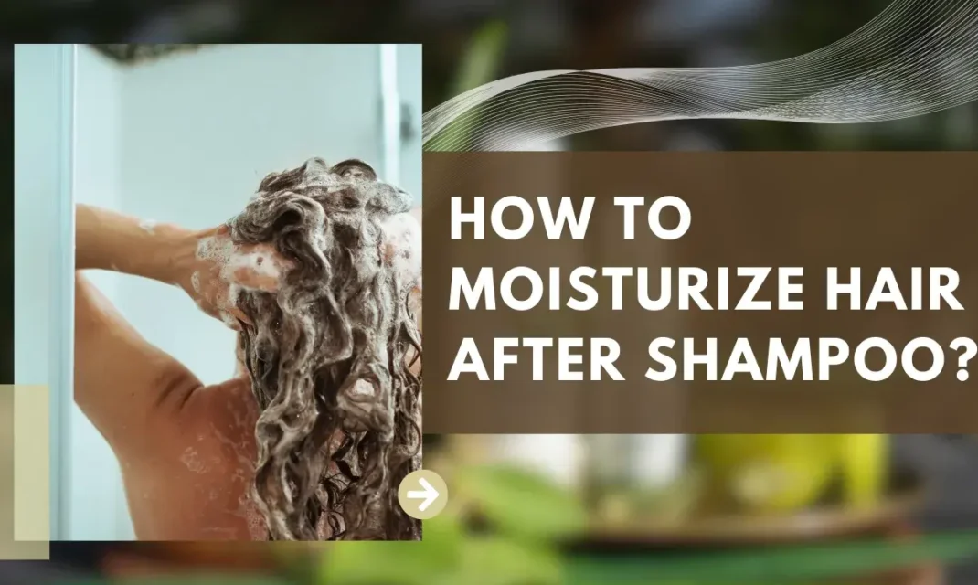 How to moisturize Hair After Shampoo