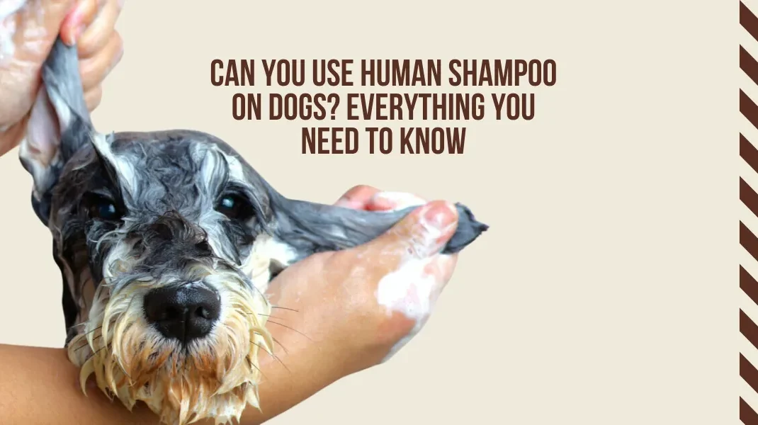 Can u wash your dog with human shampoo best sale