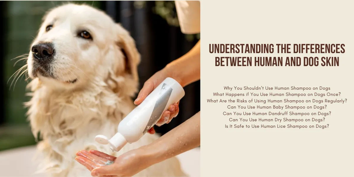 Understanding the differences Between Human and Dog Skin