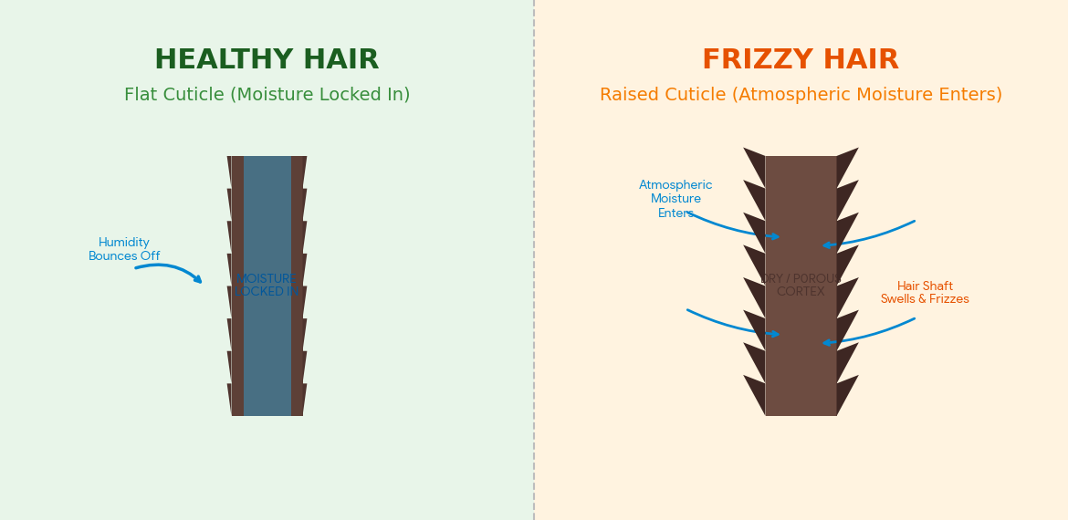 Home Remedies for Frizzy Hair infogrph 1